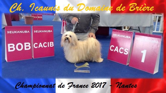 Du Domaine De Brière - Notre nouvelle championne de France 2017.