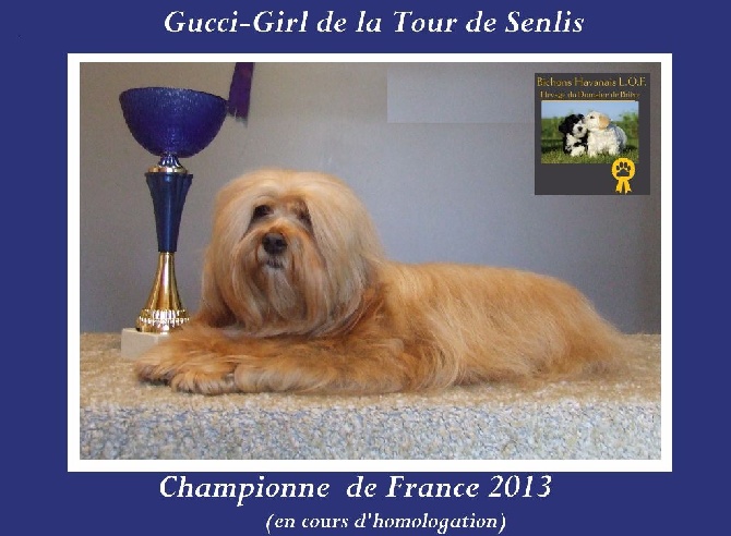 Du Domaine De Brière - Gucci-Girl de la tour de Senlis, nouvelle championne de France 2013. 