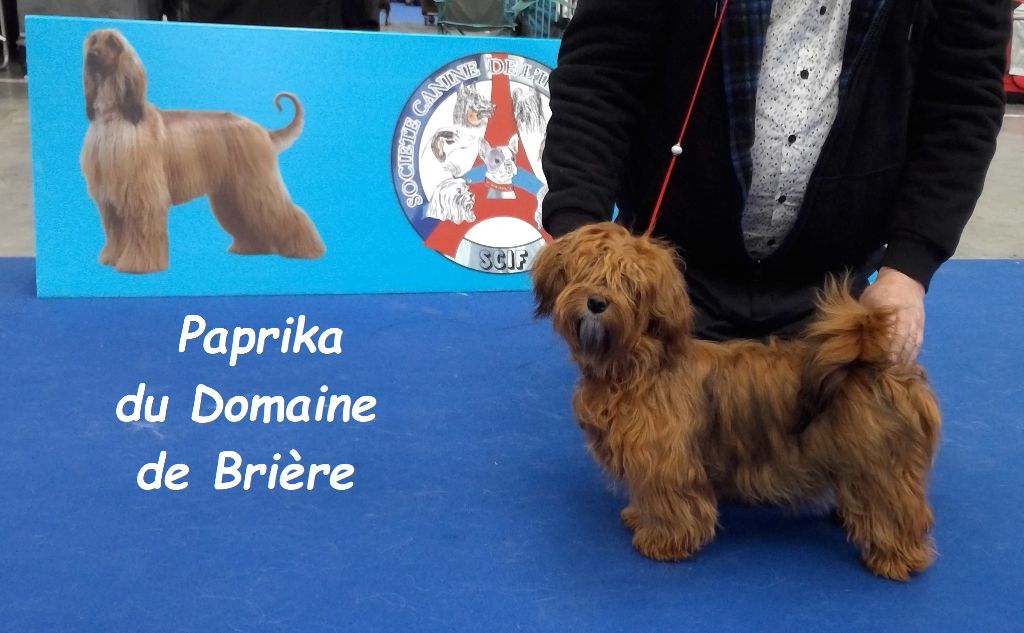 Paprika Du Domaine De Brière
