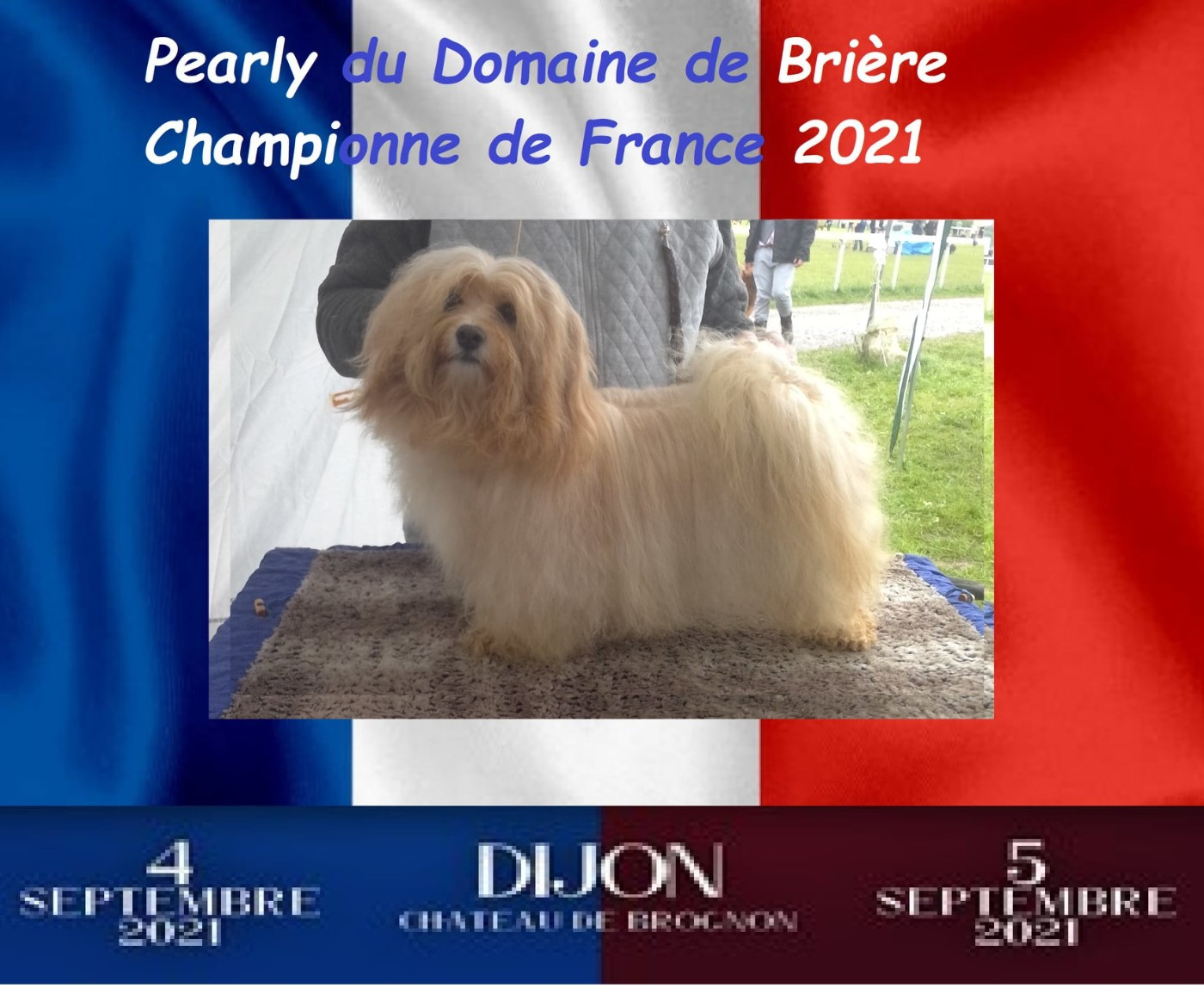 CH. Pearly Du Domaine De Brière