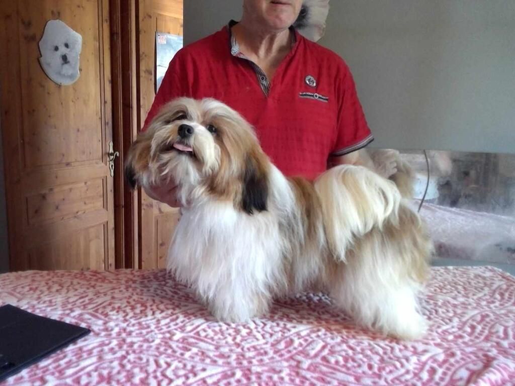 Utopie Du Domaine De Brière